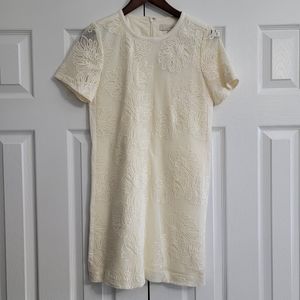 LOFT Lace Dress Women’s XS Petite 32.5” Length NWT